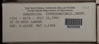 Image Associated With the Occurence